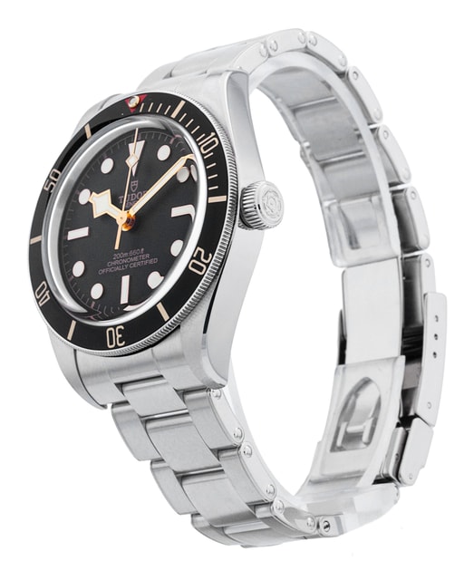 Tudor Black Bay 58 M79030N-0001 Image 2